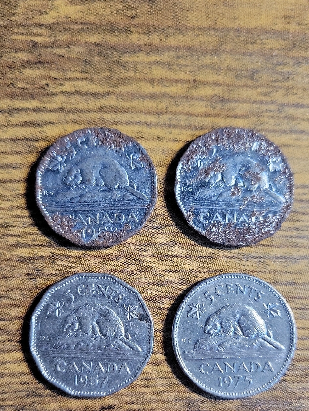 Vintage 1950s Canadian Beaver 5 Cents Nickel Coins...Old Rustic Look!!
